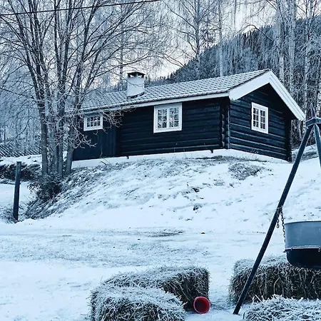 Sjarmerende Tommerhytte Pa Gardstun شقة