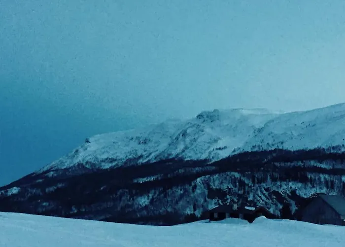 Lejlighed Sjarmerende Tommerhytte Pa Gardstun
