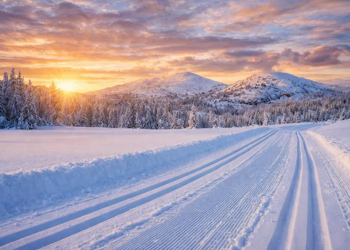 Sjarmerende Tommerhytte Pa Gardstun *